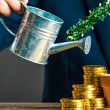 Telegram profile photo for Аналитик Финанс