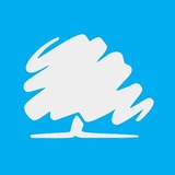 Telegram profile photo for Conservatives