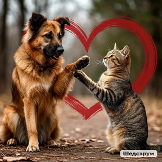 Telegram profile photo for ЖИВОТНЫЕ | Дзержинский | Люберцы | Котельники