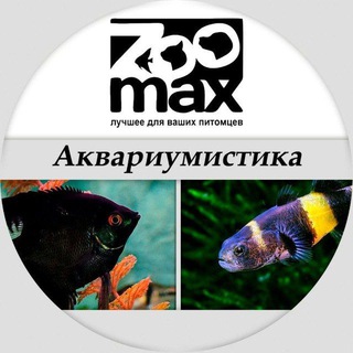 Telegram profile photo for ZooMax - Аквариумистика