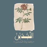 Telegram profile photo for | النَّجْدَيْنِ | 🌿
