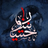 Telegram profile photo for منتظر الناصري