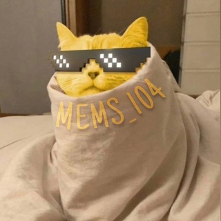 Telegram profile photo for MEMS_104