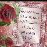 Telegram profile photo for کانالها و گروههای قرآنی