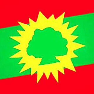 Telegram profile photo for Oromia News Platform