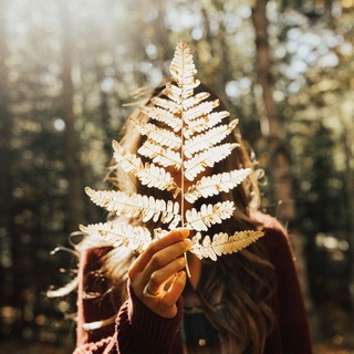 Telegram profile photo for 🌸برگ و گلهای خشک رزین🌿
