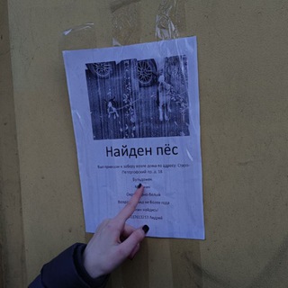 Telegram profile photo for Отзывы @neslle