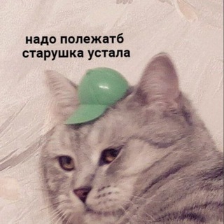 Telegram profile photo for Ну и hui с ним