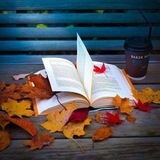 Telegram profile photo for Одиночка🥀