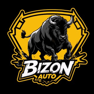 Telegram profile photo for BIZON-AUTO-SPB