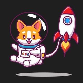 Telegram profile photo for 全网最牛B项目,没有之一,带飞