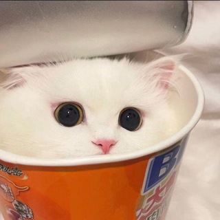 Telegram profile photo for Вилка постримь
