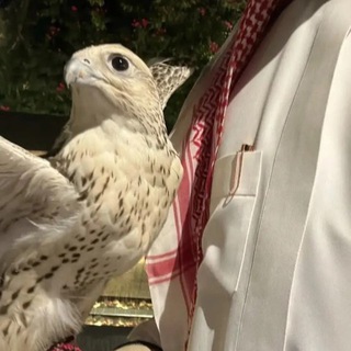 Telegram profile photo for جرهّد .