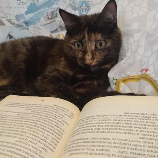 Telegram profile photo for Кошка с книжкой