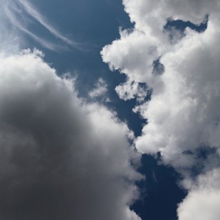 Telegram profile photo for الأفانين.