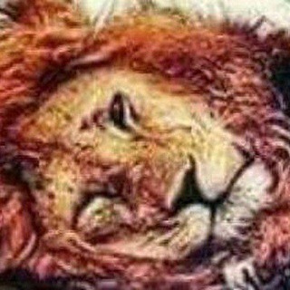 Telegram profile photo for زينو ياسر محاميد الاصدارات