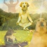 Telegram profile photo for инкубация скидз