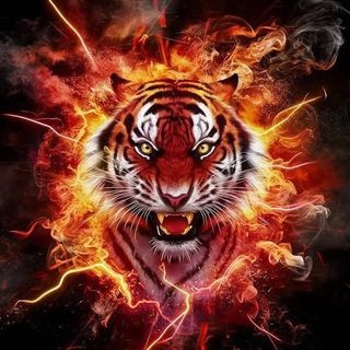 Telegram profile photo for 🐯𝗧Ì𝗚É𝗥 🐯