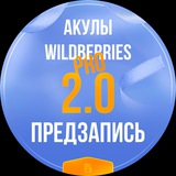 Telegram profile photo for Предзапись «Акулы Wildberries PRO 2.0»