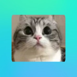 Telegram profile photo for Субтитры сделал DimaTorzok