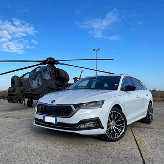 Telegram group profile photo for Skoda Octavia 4 Italia 🇮🇹