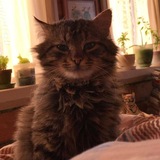 Telegram profile photo for ℵ٤ང۴ཋ༥
