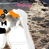 Telegram profile photo for Versus cache