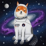 Telegram profile photo for astroidfloki
