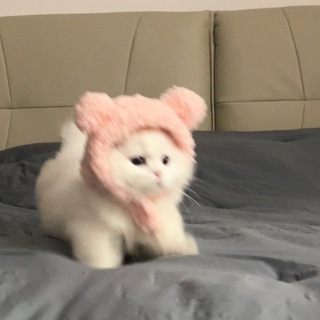 Telegram profile photo for 七七的朋友圈