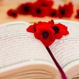 Telegram profile photo for نسیم آسمانی (ختم قرآن)