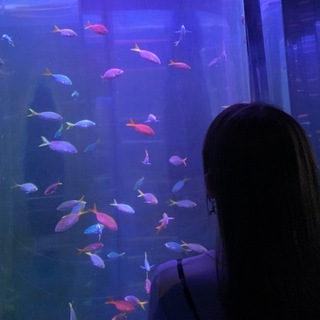 Telegram profile photo for рыбка моя 🐟