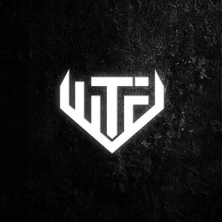 Telegram profile photo for WTFuck Esport