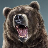Telegram profile photo for Andrej ТV