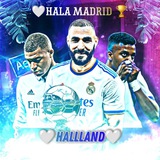 Telegram profile photo for 🏆Hallland football | Халанд футбол🍇