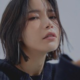 Telegram profile photo for Zsolar