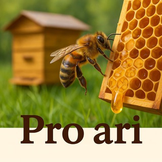 Telegram profile photo for Pro ari