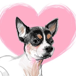 Telegram profile photo for довека разговаривает