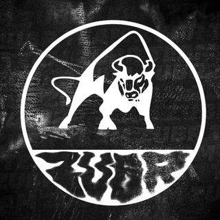 Telegram profile photo for Team ZUBR