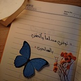 Telegram profile photo for لِـٰٚـِِْـٰٚـِْطِـٰٚـِِْـٰٚـِْفِ͒ـٰٚـِِْـٰٚـِْ