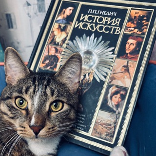 Telegram profile photo for Кот Искусства