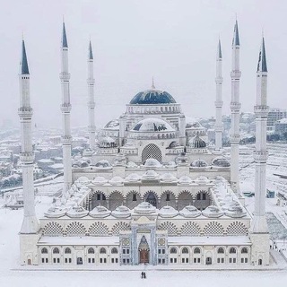 Telegram profile photo for اقتباسات شعر و خواطر