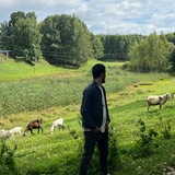 Telegram profile photo for QONDAY EEE MAKKAMMI a