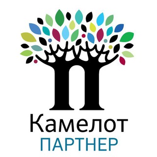 Telegram profile photo for Камелот Партнер