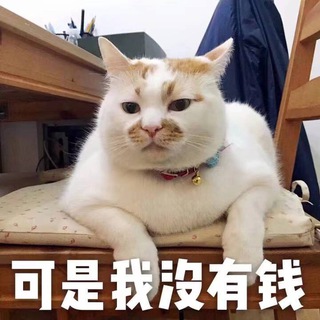 Telegram profile photo for 老王DDOS-免费放大列表资源