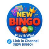 Telegram profile photo for BINGO