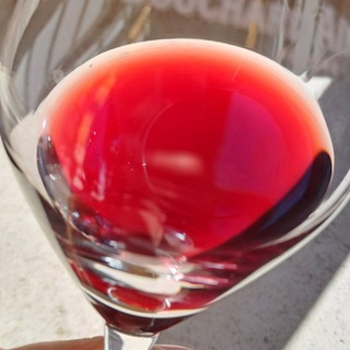 Telegram profile photo for WINE_CAT