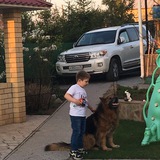 Telegram profile photo for Жизнь Тимохи👻