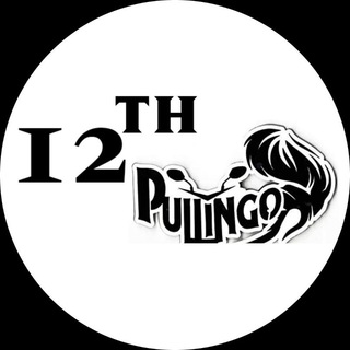 Telegram profile photo for 12TH Pullingo Materials