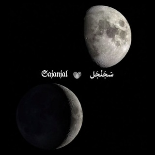 Telegram profile photo for سَجَنْجَل | 𝔖𝔞𝔧𝔞𝔫𝔧𝔞𝔩