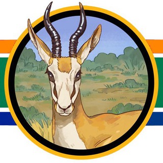 Telegram profile photo for South Africa Reports